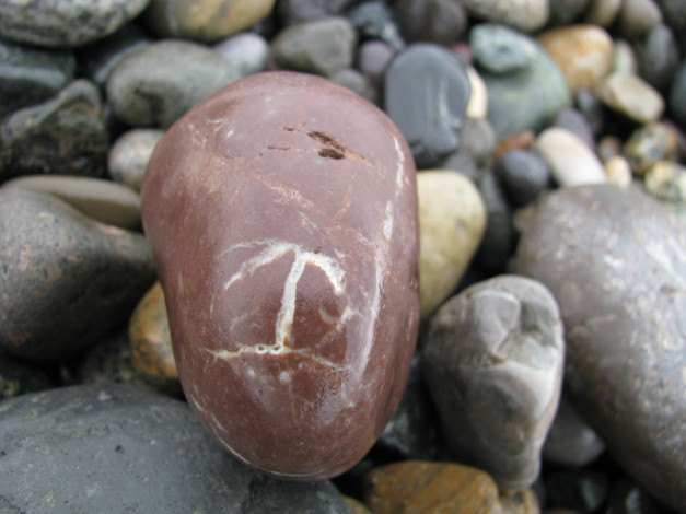 Обои картинки фото 