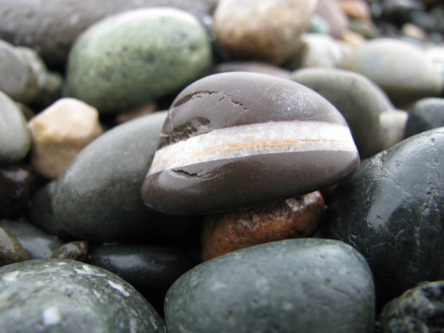 Обои картинки фото 