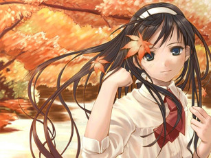 Картинка аниме tsukihime