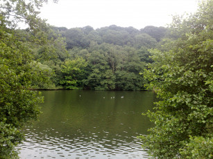 Картинка природа реки озера