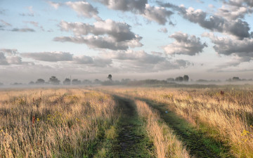 Картинка природа дороги