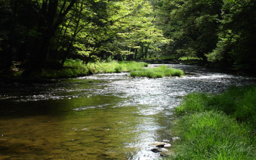 Картинка природа реки озера