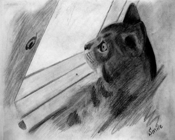 Обои картинки фото рисованные, животные