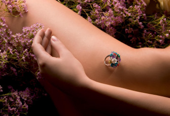 Картинка разное украшения аксессуары веера кольцо цветы рука бедро