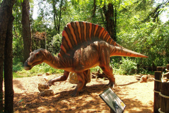 Картинка разное рельефы статуи музейные экспонаты дракон