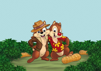 Картинка chip `n dale rescue rangers мультфильмы чип и дейл