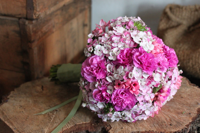 Обои картинки фото цветы, гвоздики, свадебный