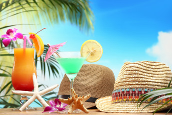 Картинка еда напитки +коктейль ракушки шляпы коктейли цветок