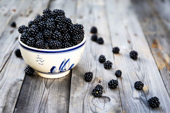 Картинка еда ежевика миска