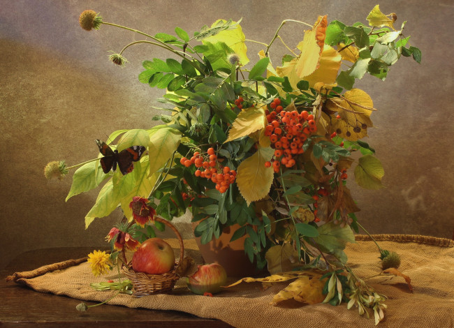 Обои картинки фото еда, натюрморт, яблоки, рябина, осень
