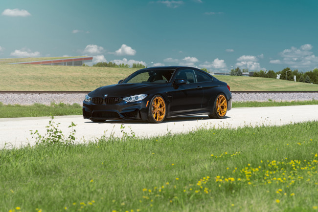 Обои картинки фото автомобили, bmw, grass, day, car, front, summer, m4, azurite, black