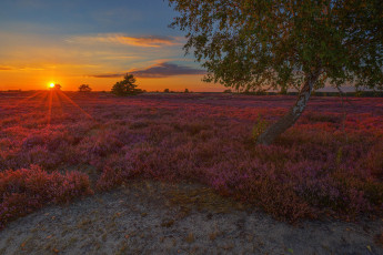 Картинка природа восходы закаты простор