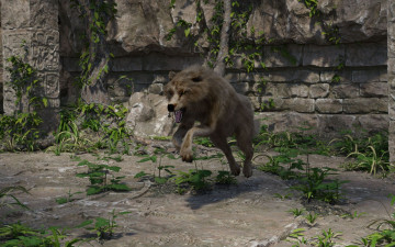 Картинка 3д+графика животные+ animals фон волк