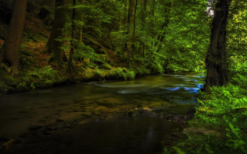 Картинка природа реки озера деревья лес река