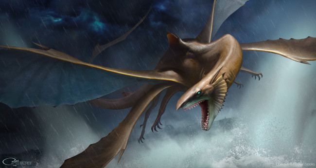 Обои картинки фото фэнтези, существа, взгляд, фон, существо