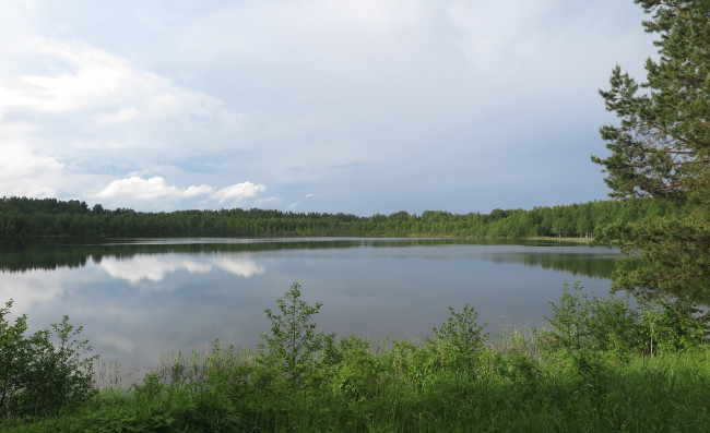 Обои картинки фото природа, реки, озера, деревья, река