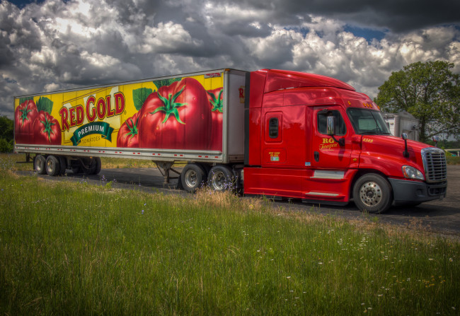 Обои картинки фото автомобили, freightliner, грузовик