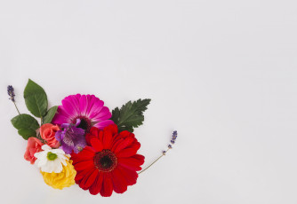 Картинка цветы букеты +композиции листья лаванда герберы розы