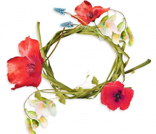 Обои картинки фото цветы, букеты,  композиции, гиацинты, венок, маки