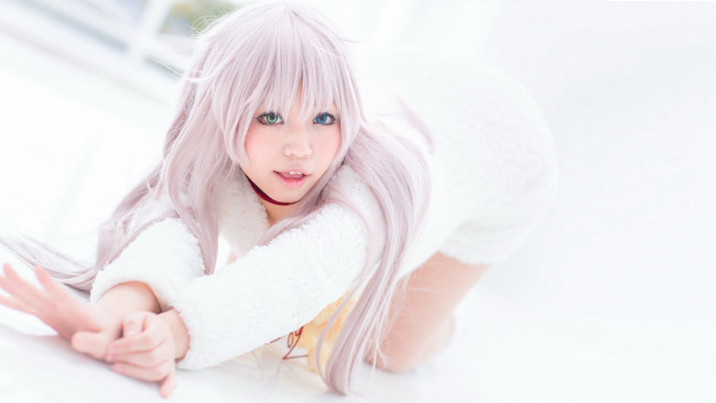 Обои картинки фото разное, cosplay , косплей, k, project, проект, кей, гетерохромия, cosplay, neko