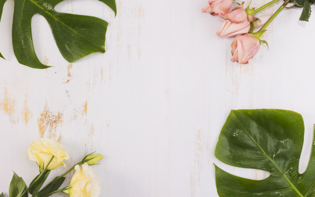 Обои картинки фото цветы, разные вместе, эустома, розы, листья