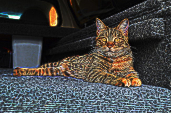 Обои картинки фото разное, компьютерный дизайн, кот