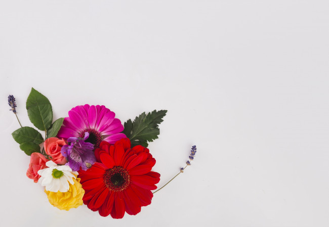 Обои картинки фото цветы, букеты,  композиции, листья, лаванда, герберы, розы