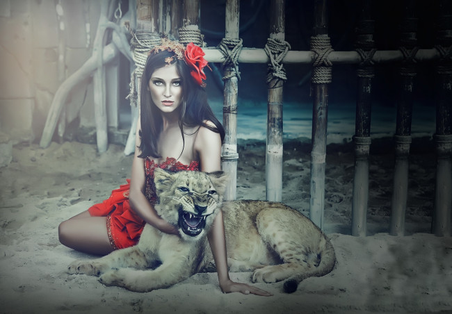 Обои картинки фото девушки, -unsort , брюнетки, темноволосые, львенок, девушка