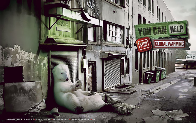 Обои картинки фото календари, компьютерный дизайн, здание, город, calendar, 2019, животное, медведь