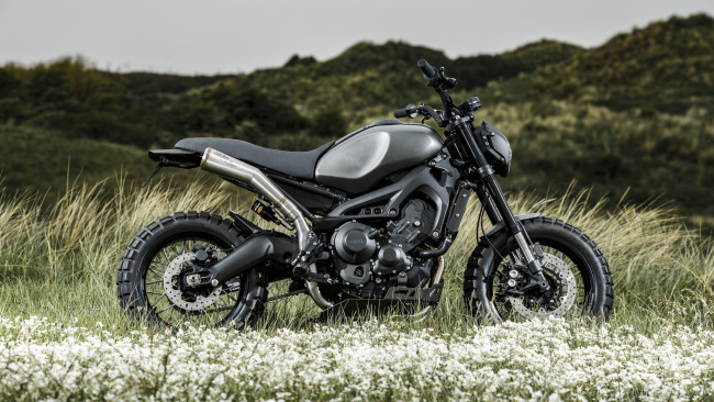 Обои картинки фото мотоциклы, yamaha, xsr, 900, профиль, мотоцикл, черный, природа