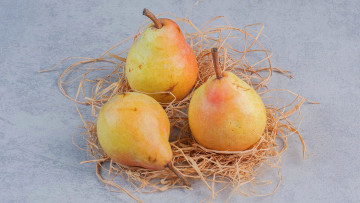 Картинка еда груши желтые спелые