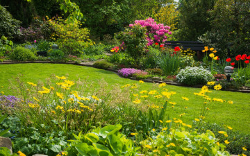 Картинка природа парк лужайка клумбы цветы