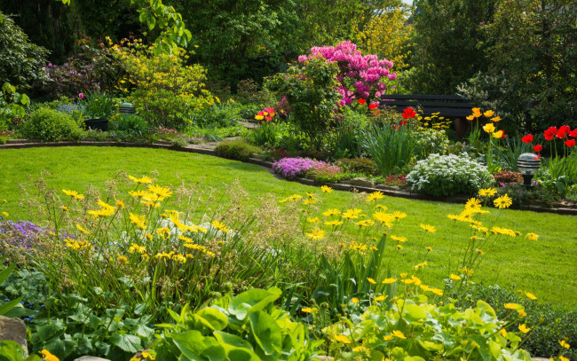 Обои картинки фото природа, парк, лужайка, клумбы, цветы