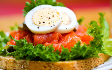 обоя еда, бутерброды,  гамбургеры,  канапе, зелень, бутерброд, лосось, яйца