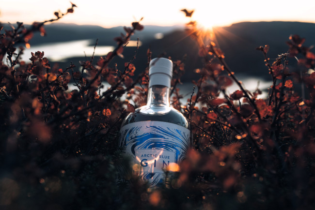 Обои картинки фото еда, напитки, бутылка, джин, кусты, осень