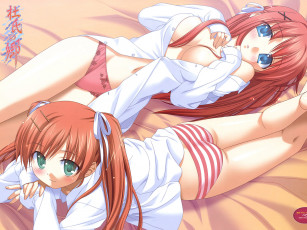 Картинка аниме *unknown другое