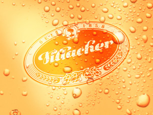 Картинка villacher бренды