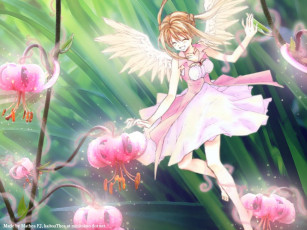 Картинка аниме angels demons