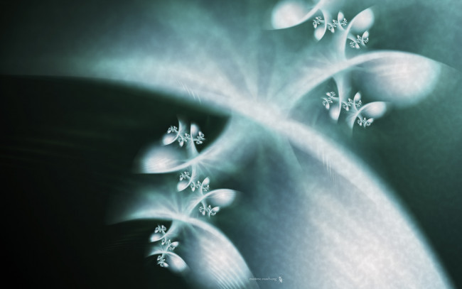 Обои картинки фото 3д, графика, fractal, фракталы