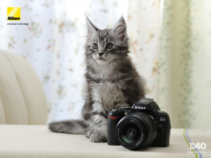 Картинка бренды nikon