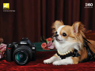 Картинка бренды nikon