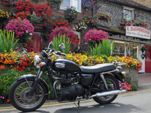 Картинка мотоциклы triumph