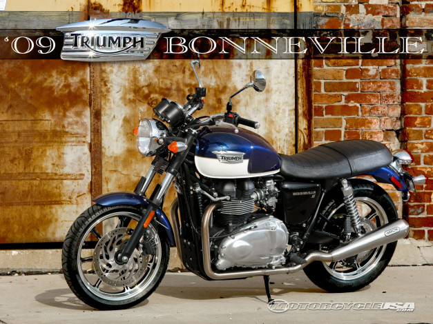 Обои картинки фото мотоциклы, triumph