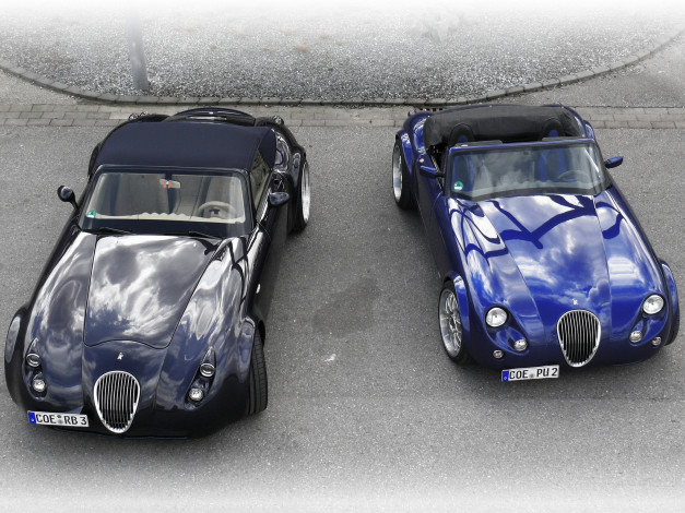 Обои картинки фото автомобили, wiesmann