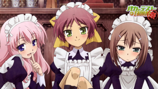 Обои картинки фото аниме, baka, to, test, shoukanjuu, девушки