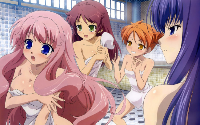 Обои картинки фото аниме, baka, to, test, shoukanjuu, девушки