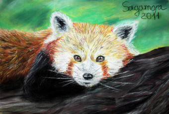 Картинка рисованные животные лиса