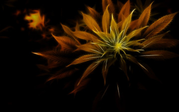 Картинка 3д графика nature landscape природа листья