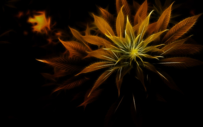 Обои картинки фото 3д, графика, nature, landscape, природа, листья