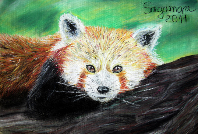 Обои картинки фото рисованные, животные, лиса